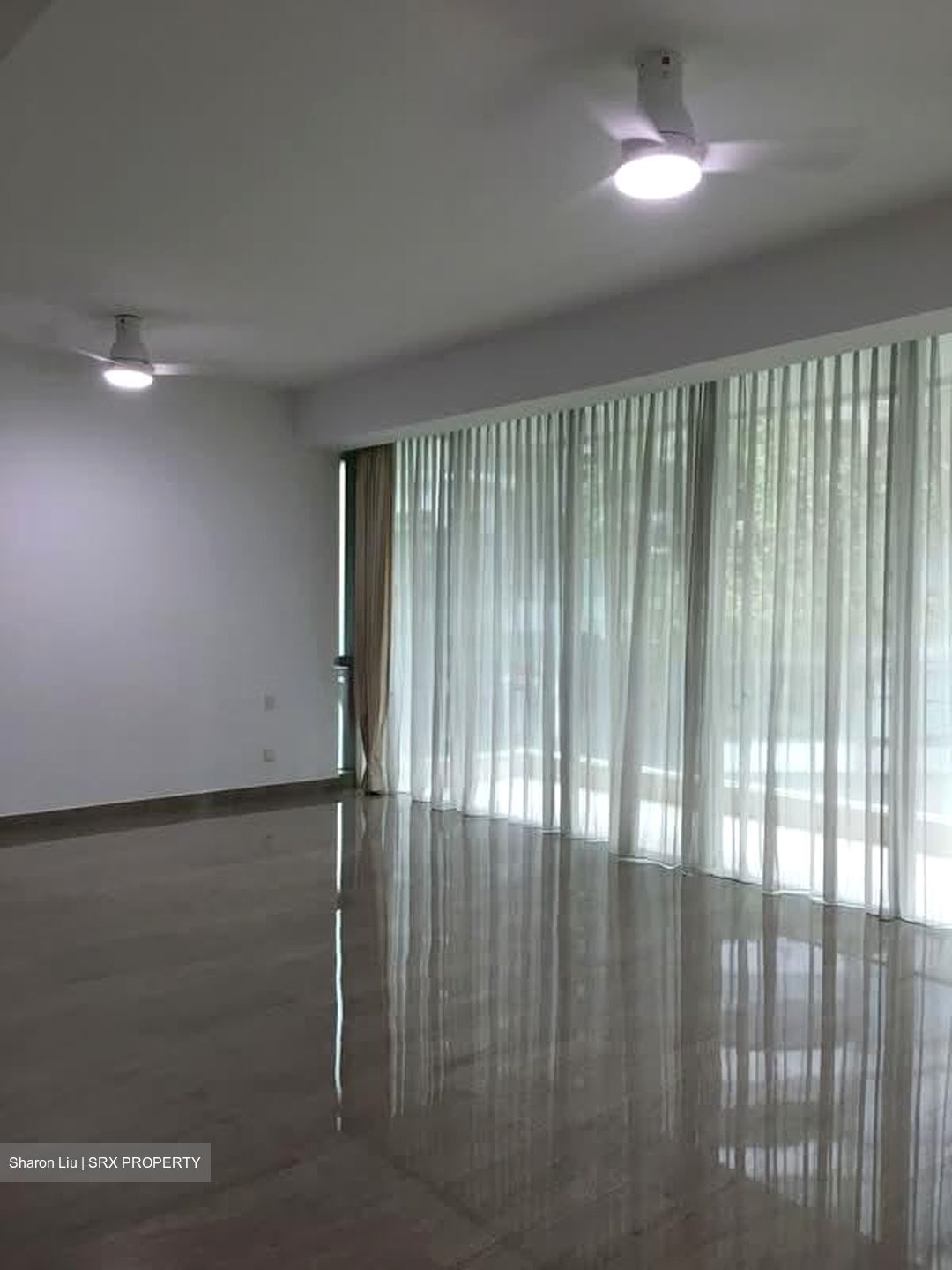 The Light @ Cairnhill (D9), Condominium #559037801